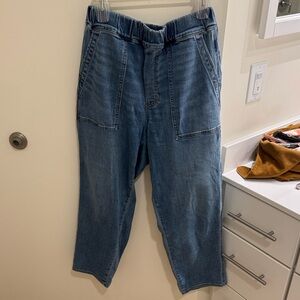 Madewell Elastic Waistband Jean